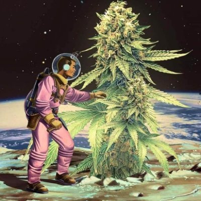 kushgrow123456's profile picture. cung cấp ảo giác#ship toàn quốc