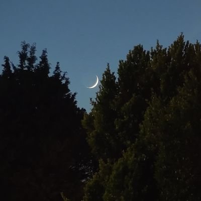 07_yilmaz_07's profile picture. 