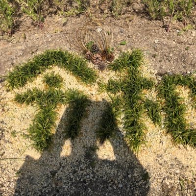 megu1136's profile picture. ヨガとのであいから少しずつ瞑想🧘‍♀️とともに整理整頓していく。 ココロとカラダを整える そんな日々を目指します。/美容師免許保持/8050問題当事者/介護医療を学ぶ/RYT200/神経発達症グレー/一人っ子育児/etc