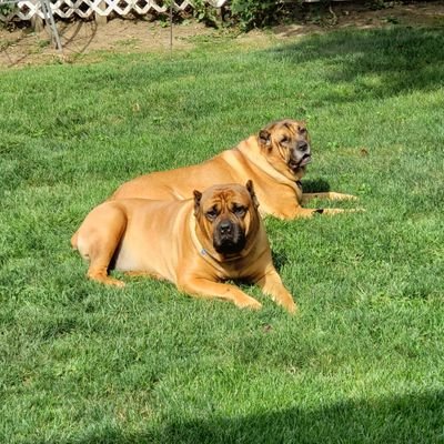 YunUrena's profile picture. 