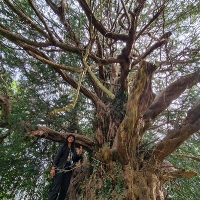 she/they. environmental engineer & doughnut economics researcher✌🏽🌱🏳️🌈🏳️⚧️
