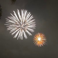 SIR HardstickOIA (@hardsticko) 's Twitter Profile