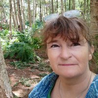 Vicki Hird MSc FRES 🐝🦋 🍃💚🍃(@vickihird) 's Twitter Profile Photo