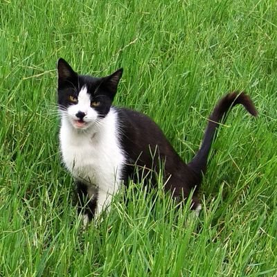 Nisnaw_'s profile picture. 