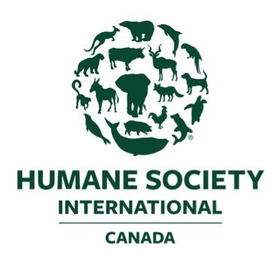 HSI/Canada est un chef de file en matière de protection animale au Canada et fait partie de @HSIGlobal. Pour les mises à jour en anglais: @HSI_Canada.