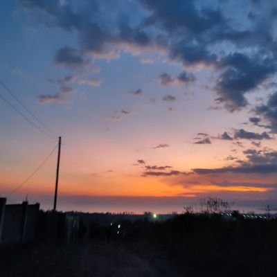 Sen5ei's profile picture. 