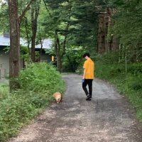 yuya.h@27卒 (@rookieprogramer) 's Twitter Profile
