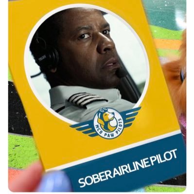 SoberPilot Profile Picture
