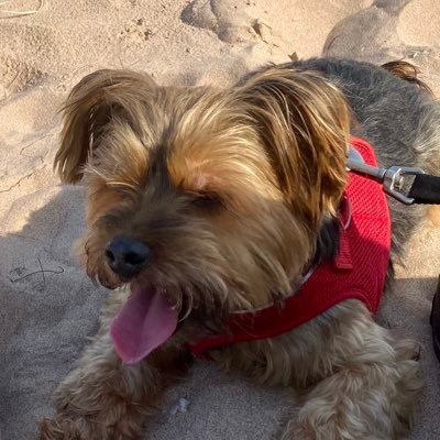 LynnYoungson12's profile picture. Work at Murton Trust