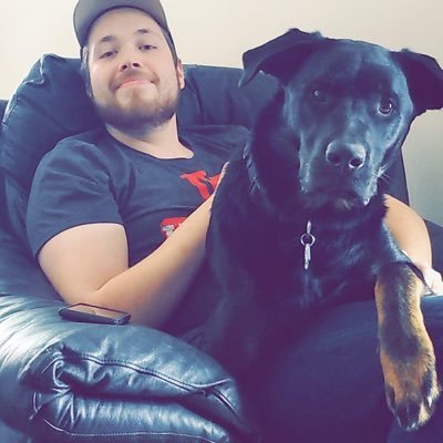 nopenotpeter's profile picture. I write code and pet cats.