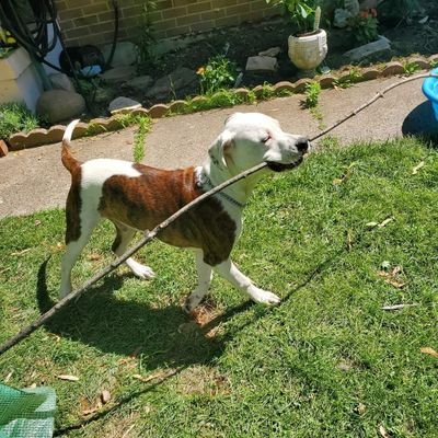 cyclopsarmy420's profile picture. 