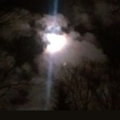 Calisangle's profile picture. Sometimes funny