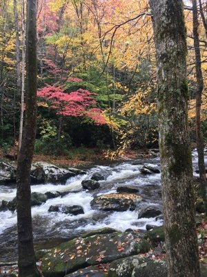 Love Hiking Trails, Avid Preds Fan, Proud Trump supporter