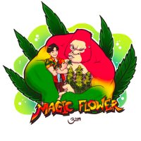 MAGIC FLOWER 3289💚🍀(@HAPPYVA59) 's Twitter Profile Photo