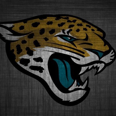 Jacksonville Jaguars Fan