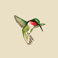 Hummingbird Fund(@FundHummingbird) 's Twitter Profile Photo