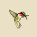 Hummingbird Fund (@fundhummingbird) Twitter profile photo Hummingbird Fund (@fundhummingbird) Twitter profile photo