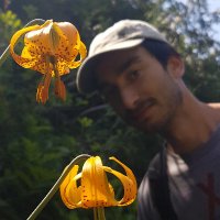 Dan Hunter (@sometimesimdan) 's Twitter Profile