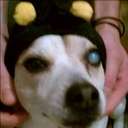 whitney hendricks - @whendricks1221 - Twitter