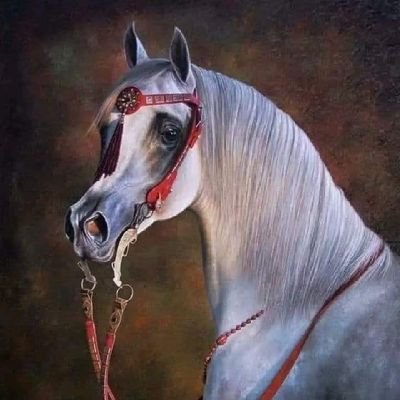 روح خيل🏇