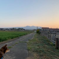 大嶋均 (@gcaxylefwitkoib) 's Twitter Profile