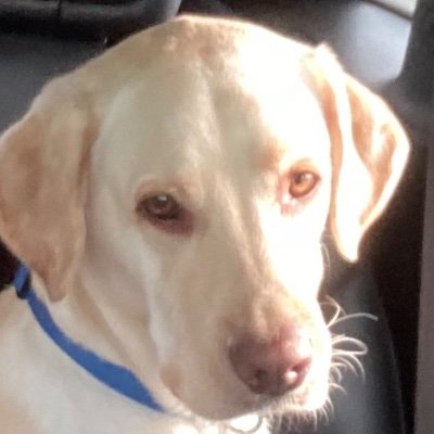 Emerson1Ron's profile picture. 