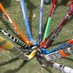 Down High Hockey (@downhighhockey) Twitter profile photo Down High Hockey (@downhighhockey) Twitter profile photo