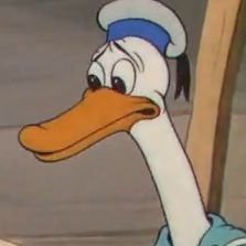 Lowkeyfibrax's profile picture. Healthy diet of vitamin gummies and Brita-filtered water