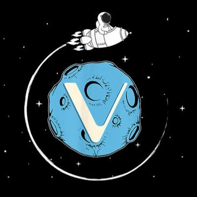 vechain_moon Profile Picture