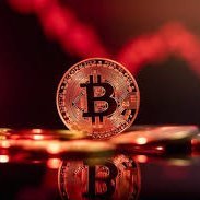 Bitcoineroch's profile picture. ETH no more  ✈🏰🚗👀#Sakaba !