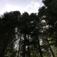 Burhan Kayış (@burhankay7) 's Twitter Profile