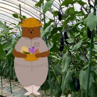 くまさん農園の日常 (@kuma_vegetable) 's Twitter Profile Photo くまさん農園の日常 (@kuma_vegetable) 's Twitter Profile Photo