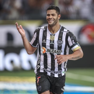 GALO DOIDO 🐔