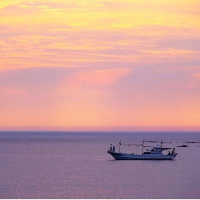 yunaka_paintart's profile picture. 安藤食品サンプル製作所様に弟子入りし、屋外で食品サンプル製作のワークショップ開催しております🍓
🌈参加予定イベント🌈
2023/11/25　三重県三重郡川越町『川越場外朝市』食品サンプルワークショップ