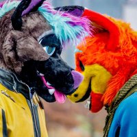 krazed.bsky.social (@krazedhyena) 's Twitter Profile