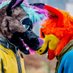 krazed.bsky.social (@krazedhyena) Twitter profile photo krazed.bsky.social (@krazedhyena) Twitter profile photo