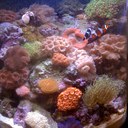 Sean Maggio - @Sean_Maggio - Twitter