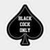 Onlyblackcocks (@Pornstarblacked) Twitter profile photo