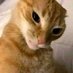 someone_just_to_see_a_post (@seeingpost) Twitter profile photo someone_just_to_see_a_post (@seeingpost) Twitter profile photo