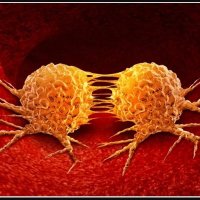 Biotech Bois (@boitechb) 's Twitter Profile