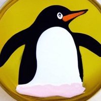 Penquin(@ChapterDeFi) 's Twitter Profile Photo