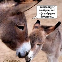 Ευσταθια Κ (@zqo9gojrpuvkpv6) 's Twitter Profile Photo