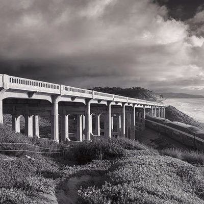 BridgeRoadCap's profile picture. Single Family Office. Stewardship for Multi Generational Wealth, Conservation and Legacy. Capital Markets, Life Sciences, Real Estate and Equine Science.