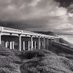 Bridge Road Capital (@bridgeroadcap) Twitter profile photo Bridge Road Capital (@bridgeroadcap) Twitter profile photo