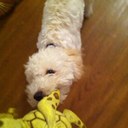 Coco Rivas - @CocosaysShutup - Twitter