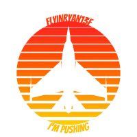 Flyin_Ryan_13f (@flyinryan13f) 's Twitter Profile