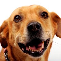 nany (@cajeta_yeye) 's Twitter Profile Photo nany (@cajeta_yeye) 's Twitter Profile Photo