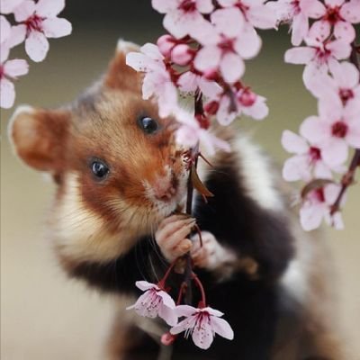 malucyne0819's profile picture. Je suis moi.