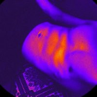 @Teixxxeira| ®™° (@teixxxeirat) 's Twitter Profile