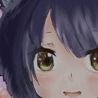 @nasaw_vrc